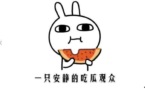 吃瓜是啥意思,网络热词背后的文化现象 第3张 吃瓜是啥意思,网络热词背后的文化现象 第3张