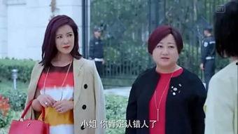 娱乐圈吃瓜小花小说  第2张